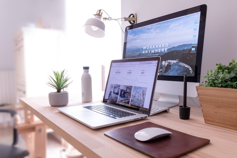 Freelancer